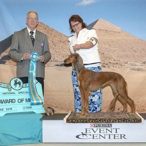 Meet your Posher, Robin